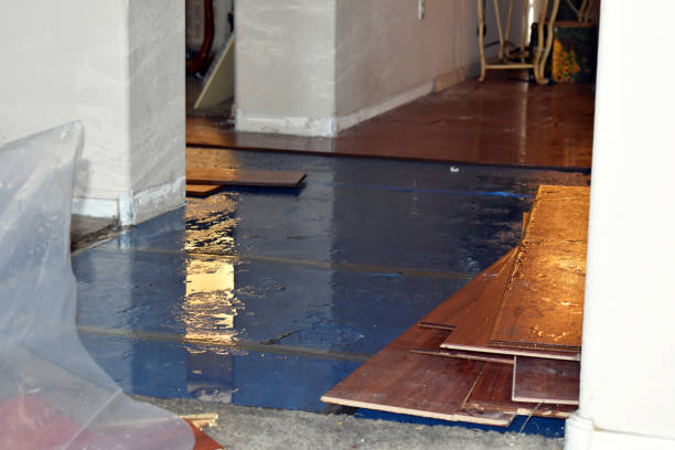 Professional Water Extraction technician working in Sheridan, TX